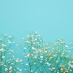 ゴールデンウィークの営業のお知らせ