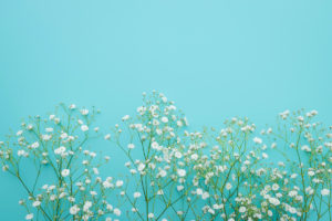 ゴールデンウィークの営業のお知らせ